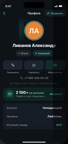 Баланс игрока и история