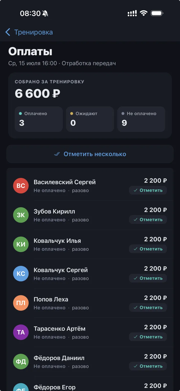 Оплаты за тренировку: кто оплатил, а кто нет